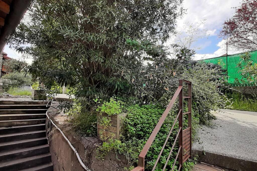 Gite De Charme Dans Mas Catalan Prades  Exterior foto
